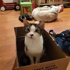 Meet your Posher, Melinda